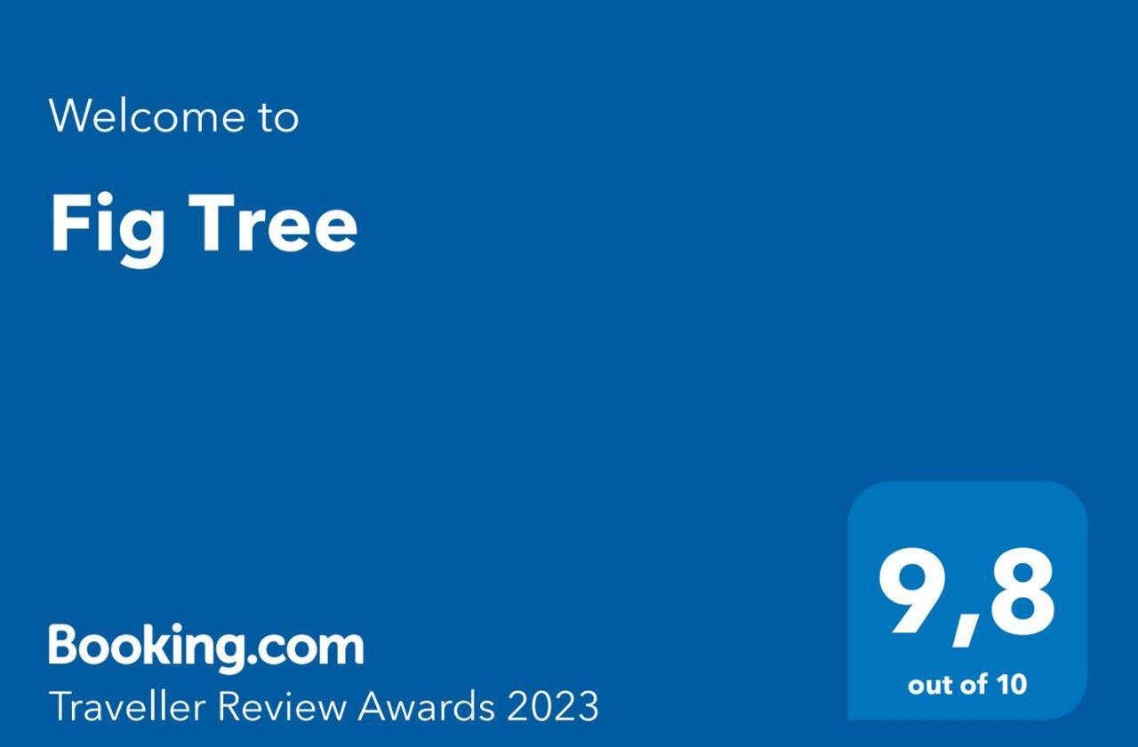 Апартаменты Fig Tree Повляна Экстерьер фото