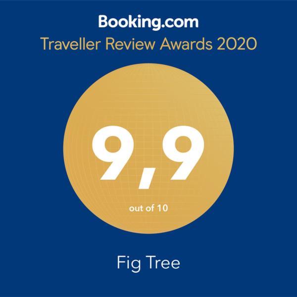 Апартаменты Fig Tree Повляна Экстерьер фото